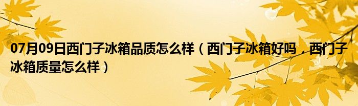 07月09日西门子冰箱品质怎么样（西门子冰箱好吗，西门子冰箱质量怎么样）