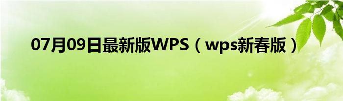 07月09日最新版WPS（wps新春版）