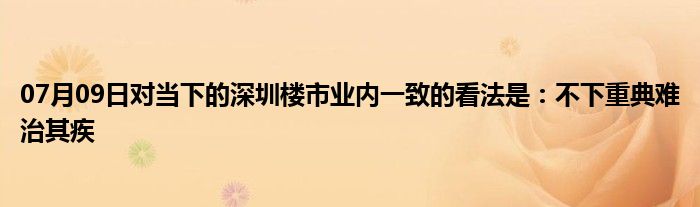 07月09日对当下的深圳楼市业内一致的看法是：不下重典难治其疾