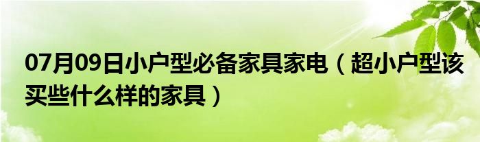 07月09日小户型必备家具家电（超小户型该买些什么样的家具）