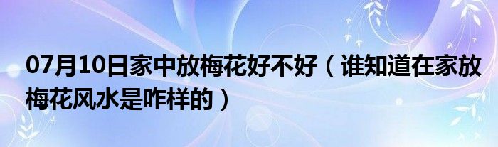 07月10日家中放梅花好不好（谁知道在家放梅花风水是咋样的）