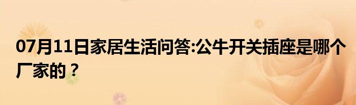 07月11日家居生活问答:公牛开关插座是哪个厂家的？