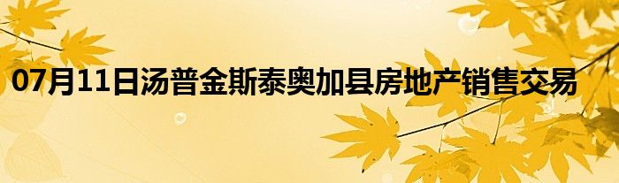 07月11日汤普金斯泰奥加县房地产销售交易