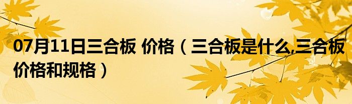 07月11日三合板 价格（三合板是什么,三合板价格和规格）