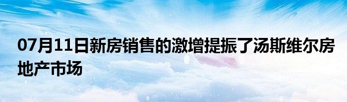 07月11日新房销售的激增提振了汤斯维尔房地产市场