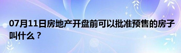 07月11日房地产开盘前可以批准预售的房子叫什么？