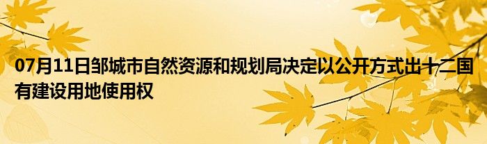 07月11日邹城市自然资源和规划局决定以公开方式出十二国有建设用地使用权