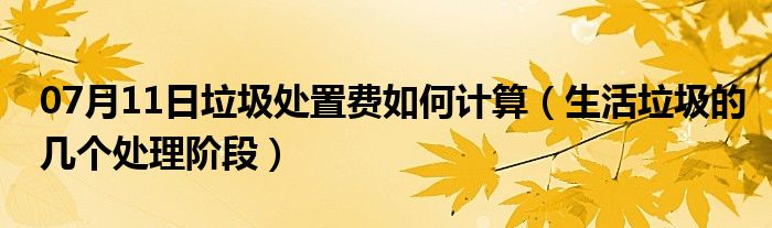 07月11日垃圾处置费如何计算（生活垃圾的几个处理阶段）