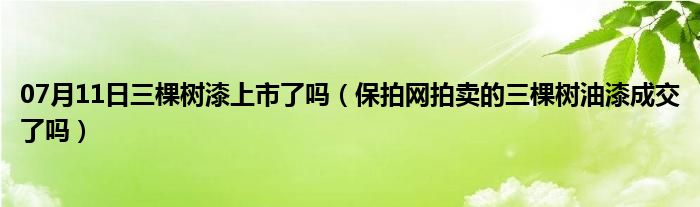 07月11日三棵树漆上市了吗（保拍网拍卖的三棵树油漆成交了吗）