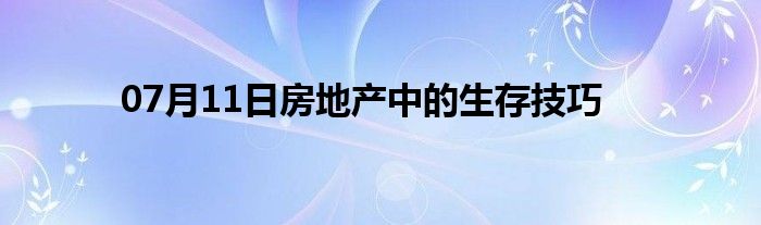 07月11日房地产中的生存技巧