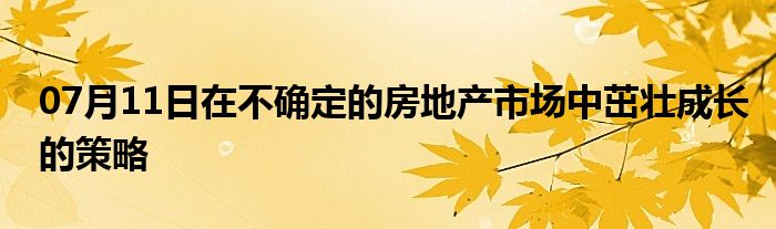 07月11日在不确定的房地产市场中茁壮成长的策略