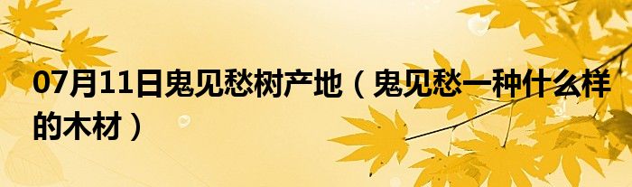 07月11日鬼见愁树产地（鬼见愁一种什么样的木材）