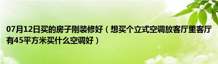 07月12日买的房子刚装修好（想买个立式空调放客厅里客厅有45平方米买什么空调好）