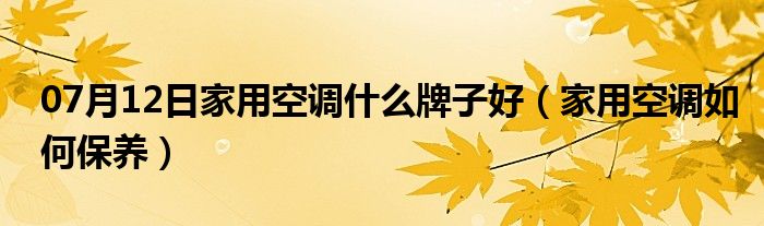 07月12日家用空调什么牌子好（家用空调如何保养）