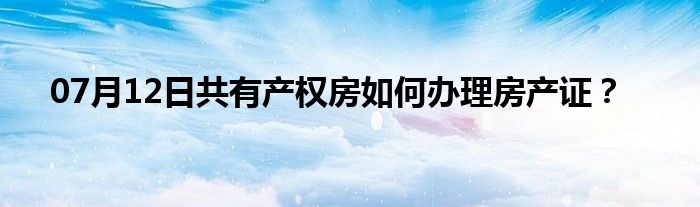 07月12日共有产权房如何办理房产证？