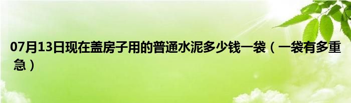 07月13日现在盖房子用的普通水泥多少钱一袋（一袋有多重 急）