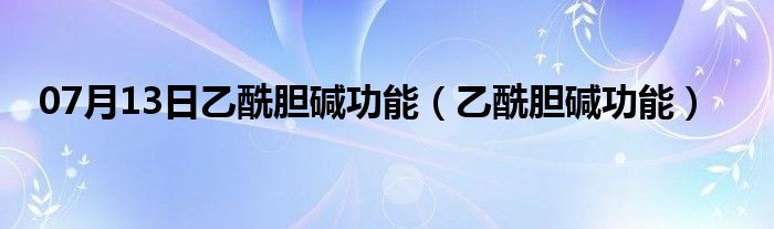 07月13日乙酰胆碱功能（乙酰胆碱功能）