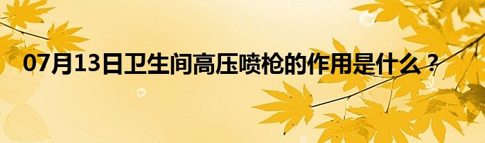 07月13日卫生间高压喷枪的作用是什么？