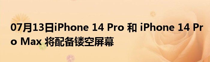 07月13日iPhone 14 Pro 和 iPhone 14 Pro Max 将配备镂空屏幕