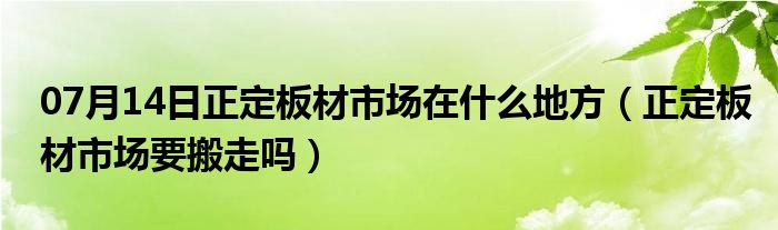 07月14日正定板材市场在什么地方（正定板材市场要搬走吗）