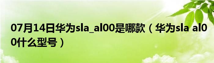 07月14日华为sla_al00是哪款（华为sla al00什么型号）