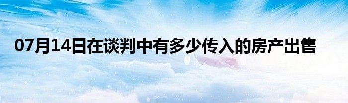 07月14日在谈判中有多少传入的房产出售