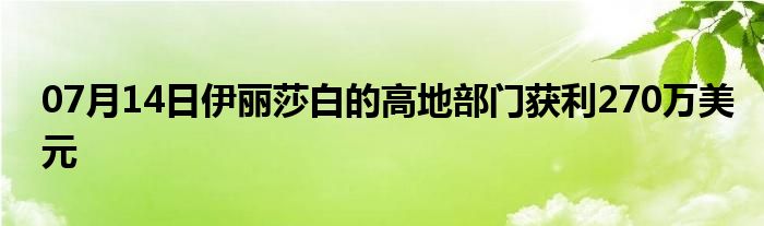 07月14日伊丽莎白的高地部门获利270万美元