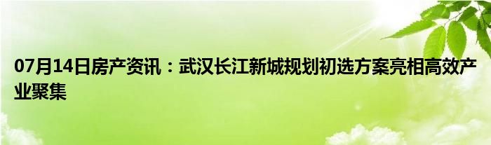 07月14日房产资讯：武汉长江新城规划初选方案亮相高效产业聚集