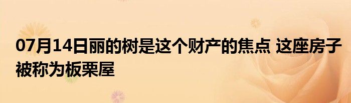 07月14日丽的树是这个财产的焦点 这座房子被称为板栗屋