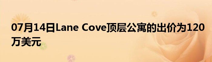 07月14日Lane Cove顶层公寓的出价为120万美元