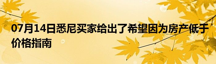 07月14日悉尼买家给出了希望因为房产低于价格指南