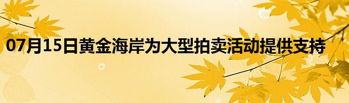 07月15日黄金海岸为大型拍卖活动提供支持