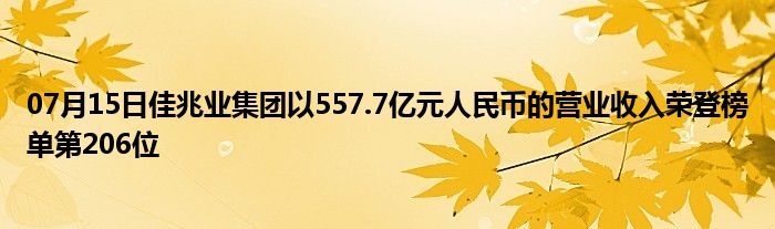 07月15日佳兆业集团以557.7亿元人民币的营业收入荣登榜单第206位