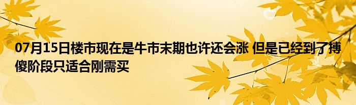 07月15日楼市现在是牛市末期也许还会涨 但是已经到了搏傻阶段只适合刚需买