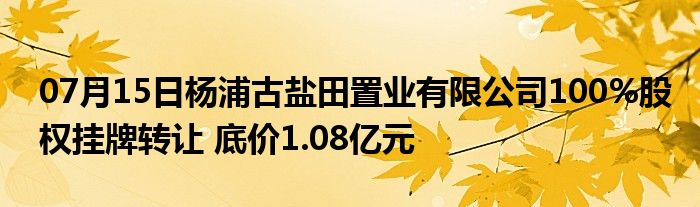 07月15日杨浦古盐田置业有限公司100%股权挂牌转让 底价1.08亿元