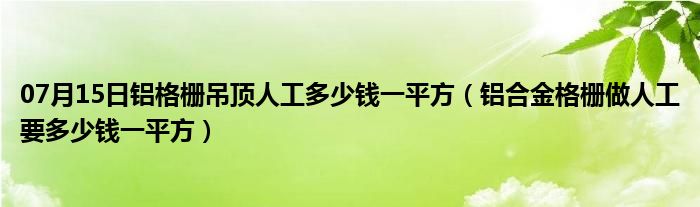 07月15日铝格栅吊顶人工多少钱一平方（铝合金格栅做人工要多少钱一平方）