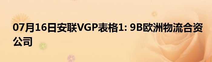 07月16日安联VGP表格1: 9B欧洲物流合资公司