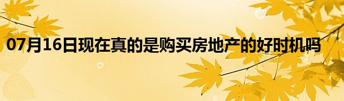 07月16日现在真的是购买房地产的好时机吗