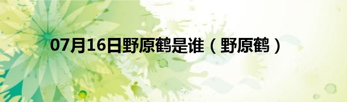 07月16日野原鹤是谁（野原鹤）