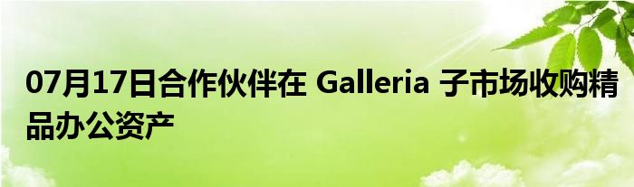 07月17日合作伙伴在 Galleria 子市场收购精品办公资产