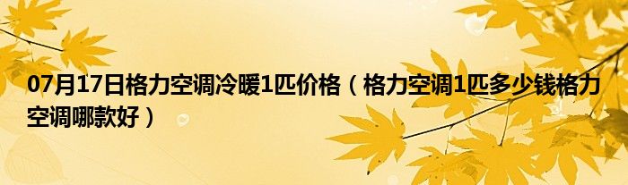 07月17日格力空调冷暖1匹价格（格力空调1匹多少钱格力空调哪款好）