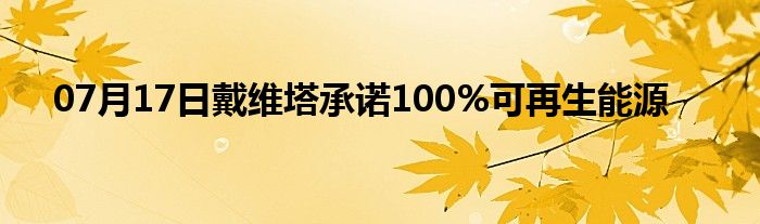 07月17日戴维塔承诺100%可再生能源