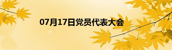 07月17日党员代表大会