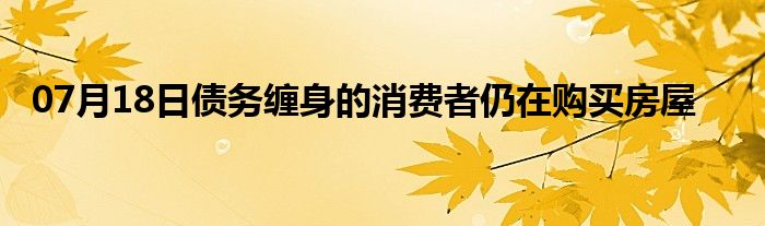 07月18日债务缠身的消费者仍在购买房屋