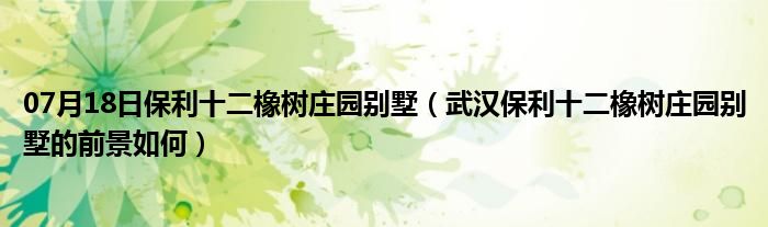 07月18日保利十二橡树庄园别墅（武汉保利十二橡树庄园别墅的前景如何）