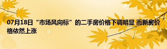 07月18日“市场风向标”的二手房价格下调明显 而新房价格依然上涨