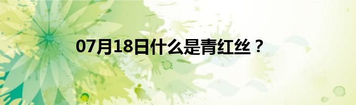 07月18日什么是青红丝？