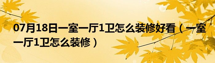 07月18日一室一厅1卫怎么装修好看（一室一厅1卫怎么装修）