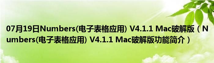 07月19日Numbers(电子表格应用) V4.1.1 Mac破解版（Numbers(电子表格应用) V4.1.1 Mac破解版功能简介）