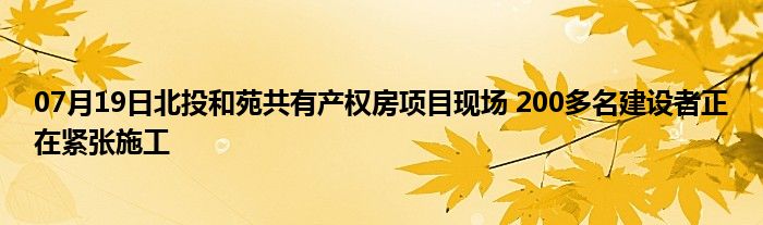 07月19日北投和苑共有产权房项目现场 200多名建设者正在紧张施工